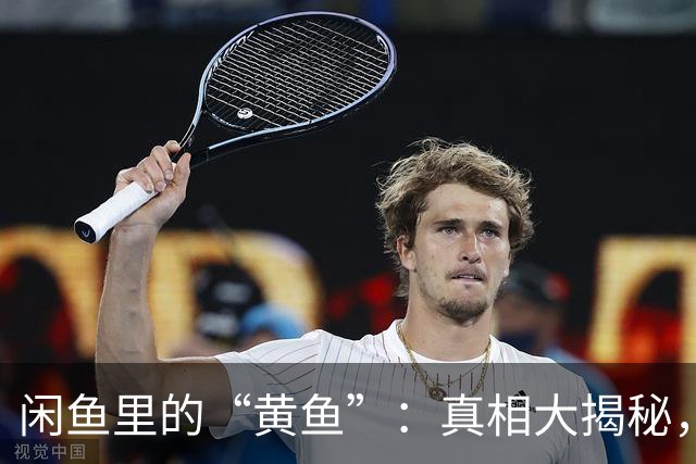闲鱼里的“黄鱼”：真相大揭秘，别让流量“捞”了底线！
