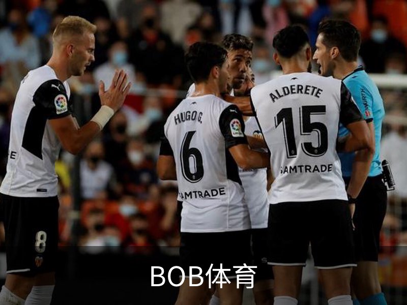 BOB体育简介